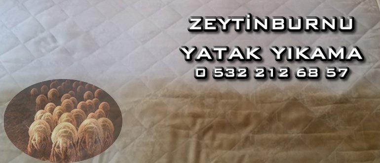 Zeytinburnu-yatak-yıkama